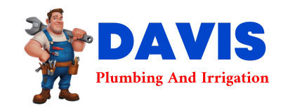 Trusted plumber in DOOLE